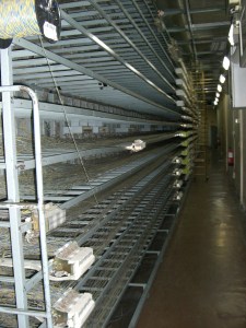 Repartidor Principal de Central Urbana