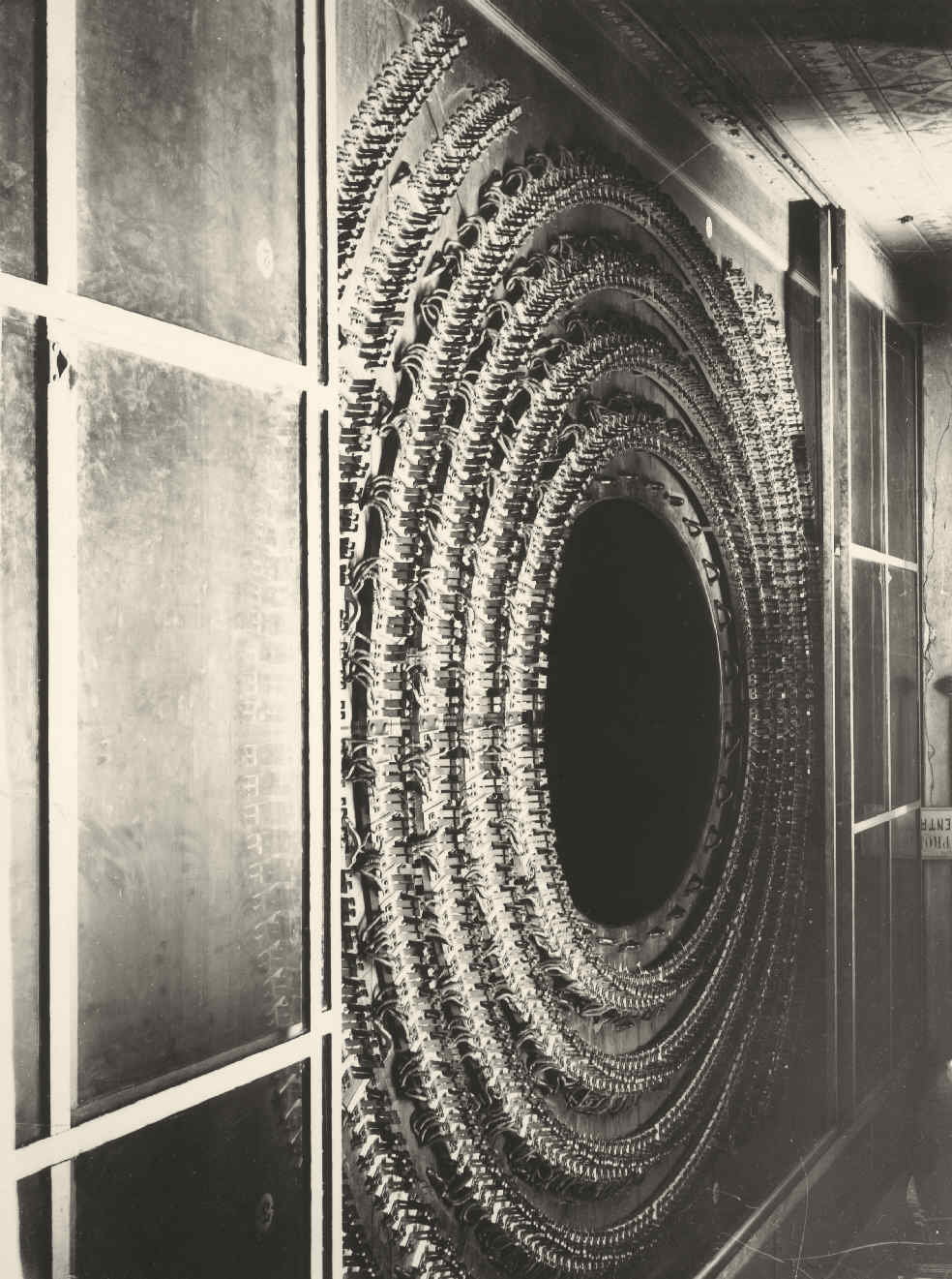 Rosáceas, Rosetones y&nbsp;Rosetas