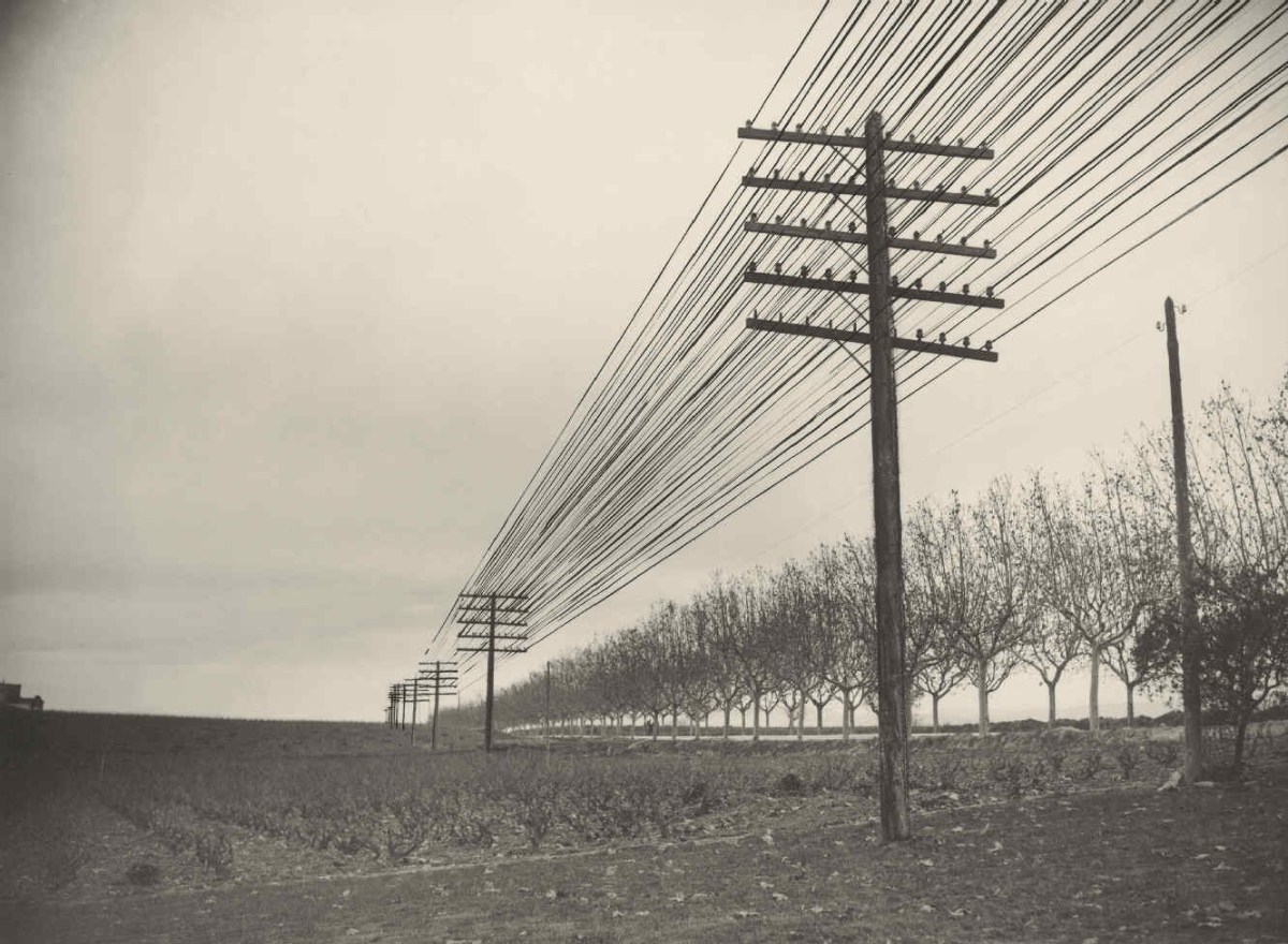 Testimonios fotográficos