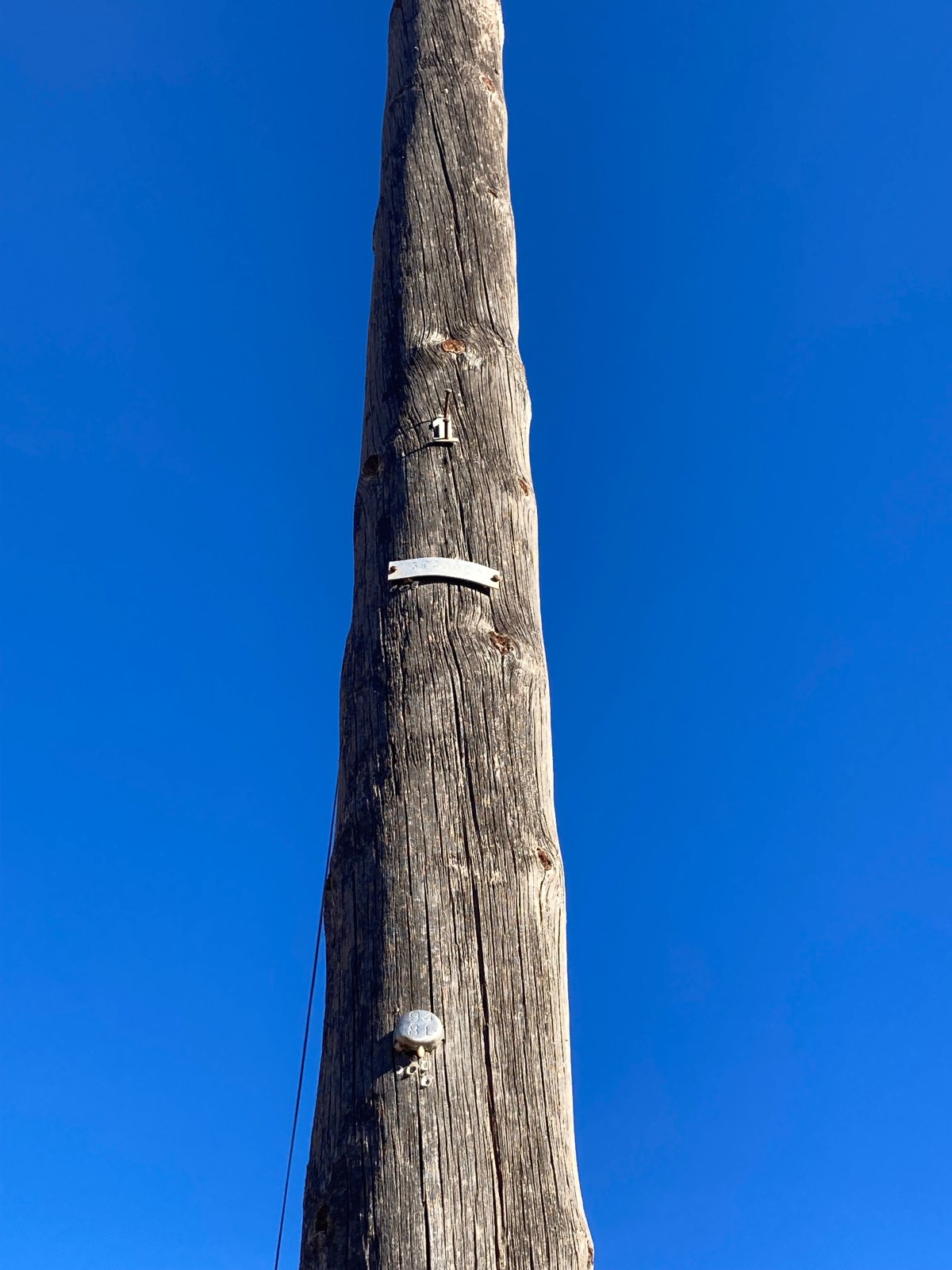 ¿Adiós a la creosota… en los postes&nbsp;telefónicos?